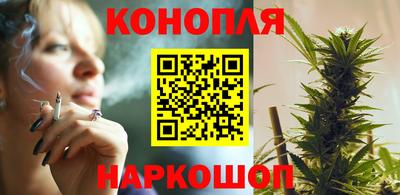 Альфа ПВП Краснознаменск