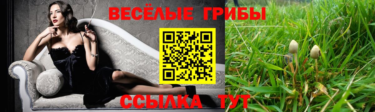 Псилоцибиновые грибы ЛСД  Псилоцибиновые грибы Cubensis  Вход с VPN  магазин  наркотиков  Ишим 