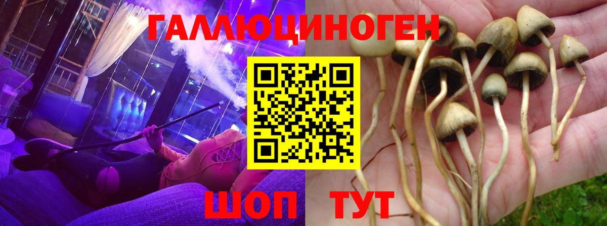 Псилоцибиновые грибы прущие грибы Ишим